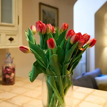 Old Town Vibe Premium * ワルシャワ