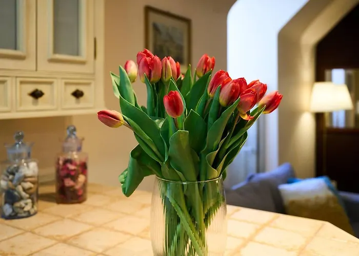 Old Town Vibe Premium * Varsóvia